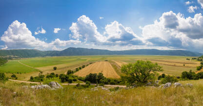 Glamočko polje - panorama Dio Glamočkog polja od sela Dolac prema visoravnima Blagodije i Kruga