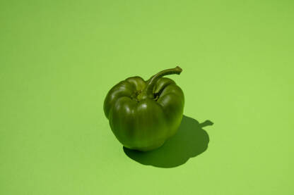 Svježa zelena paprika na zelenoj pozadini.