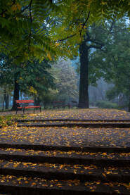 Gradski park Gradski park u Bihaću