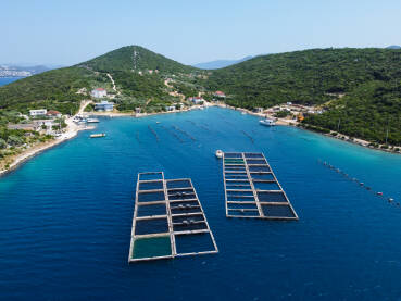 Uzgajalište riba i školjki na moru, snimak dronom. Poluotok Klek, Neum, BiH.