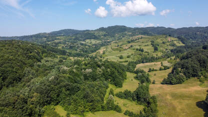 Zelena šuma i brda u prirodi tokom ljeta, snimak dronom. Priroda u Bosni i Hercegovini.
