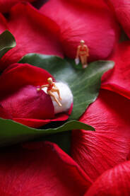 Tampon u malom buketu u crvenj ruži sa malim ženskim figurama.