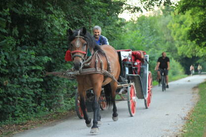 Fijaker fijaker na ilidzi aleja sarajevo