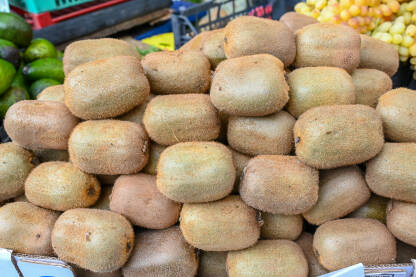 Svježi kivi na pijaci, krupni plan. Kutije pune zrelog kivija za prodaju u supermarketu. Svježeg voće u trgovini.