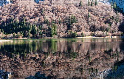 Trnovačko Jezero Trnovačko Jezero na planini Maglić.