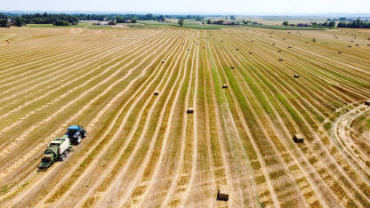 Traktor skuplja slamu u polju Traktor skuplja slamu u polju, snimak dronom. Traktor pravi bale sijena. Poljoprivreda.