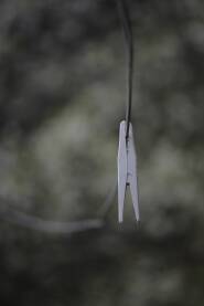 Sama zaboravljena štipaljka.