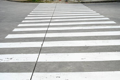 Pješački prelaz. Zebra. Pješački prelaz u gradu. Zebra. Ulica.