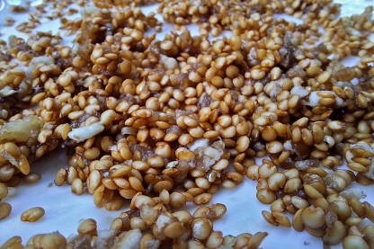 Sjeme patlidžana na tanjiru.Sušenje i priprema za slijedeću sezonu.