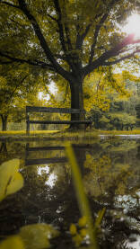 Adipasalicphoto (19) Refleksija stare klupe