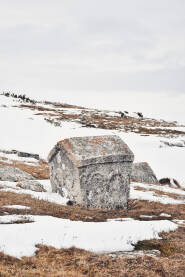 Nekropola Dugo polje Stecak na nekropoli Dugo polje, Risovac
