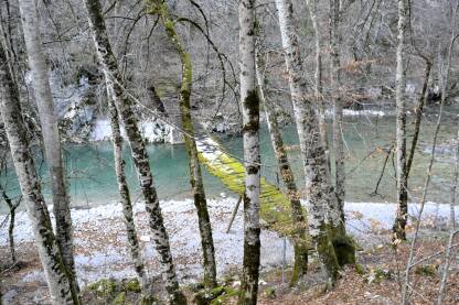 Most preko rijeke Neretve u blizini Uloga.
