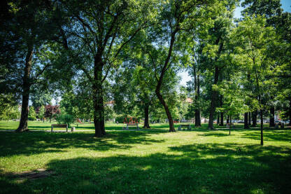 Gradski park Gradski park u Brčkom