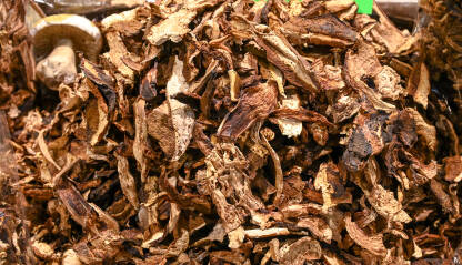 Sušene gljive na prodaju na pijaci. Krupni plan suhih gljiva.