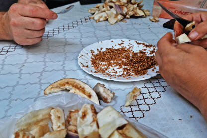 Priprema sjemena iz zrelog patlidžana,sušenje i priprema za slijedeću sezonu.
