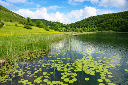 Planinsko jezero. Zelena šuma i trava oko jezera ljeti. Uloško ili Crvanjsko jezero, Kalinovik, BiH.
