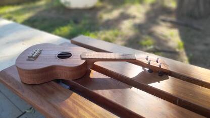 Ukulele Ukulele na klupi u parku