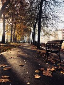Klupa u parku Jesenji ambijent u parku pred zalazak Sunca