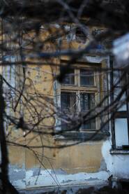 Stara zuta kuca Stara zuta kuca fotografisana kroz grancice, sa drvenim prozorom