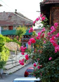 Setnja ulicama starog dijela Sarajeva, Alifakovac i Bistrik