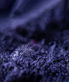 Pahulja snijega, makrofotografija Pahulja snijega na vunenom platnu, macro, makrofotografija
