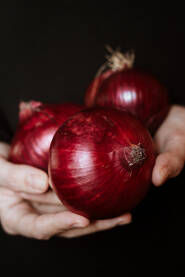 Ženske ruke drže tri glavice ljubičastog luka