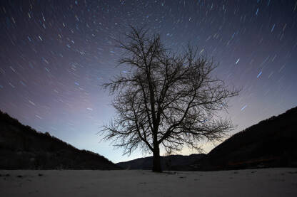 Stablo na snijegu noću pod zvijezdama