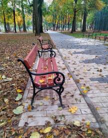 Veliki park na Ilidži Drvene klupe i popločane staze u novom parku čekaju šetače. Jesen u parku.
Veliki park Ilidža