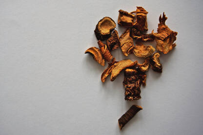 Biljka Srčanik,Lincura (lat. Gentiana lutea). Sušenje korijena. Korijen biljke  je ljekovit, gorka okusa. Ubraja se u ljekovito bilje s gorkim tvarima (amara).