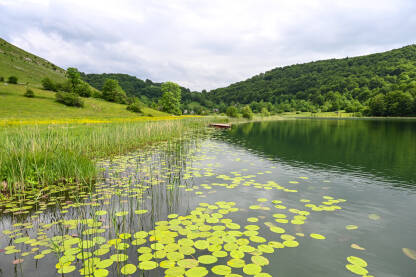 Uloško ili Crvanjsko jezero, opština Kalinovik Prekrasno jezero na planini. Lokvanj na vodi. Uloško ili Crvanjsko jezero.
