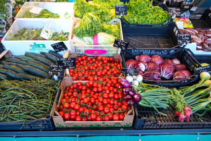 Svježe povrće na pijaci. Paradajz, krastavac, kupus, zelena salata, mladi luk.