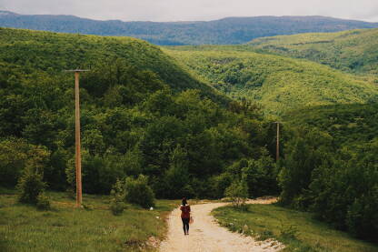Putevima Pecke Pogled na zelenilo na Pecki.