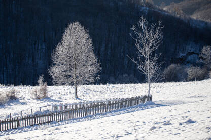 Stablo i drvena ograda na selu u snijegu