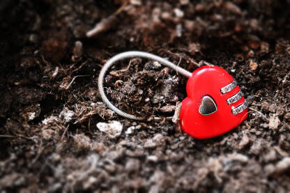 Katanac u obliku srca. Nasilje u porodici. Rodno zasnovano nasilje.

Fotografija besplatna za ilustrovanje medijskih sadržaja o nasilju, svako drugo korištenje je zabranjeno.

Autorka: Svjetlana Panić