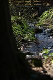 Pejzaz potoka Voda tece u potoku, kamenje, drvo, cvece, trava, most