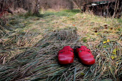 Crvene klompe na selu. Ubistvo žene. Nasilje u porodici.

Fotografija besplatna za ilustrovanje medijskih sadržaja o nasilju, svako drugo korištenje je zabranjeno.

Autorka: Svjetlana Panić