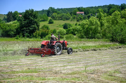 Čovjek na traktoru skuplja sijeno. Poljoprivrednik skuplja sijeno u polju. Prikupljanje sijena na livadi.