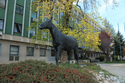 Zgrada vetirnarskog fakulteta UNSA u sarajevu