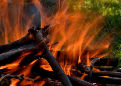 Campfire close-up with grass in the background and burning wood and ashes, long exposure.JPG Krupni plan logorske vatre sa travom u pozadini i zapaljenim drvetom i pepelom, duga ekspozicija