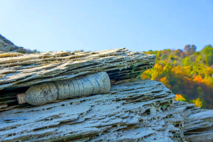 Ekološki problem. Plastična boca, zaglavljena u kamenu na isušenom dijelu jezera, smeće bačeno u jezero.