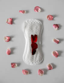 Menstrualni ciklus Crvene latice ruže na bijelom higijenskom ulošku okreženi rozim laticama ruže
