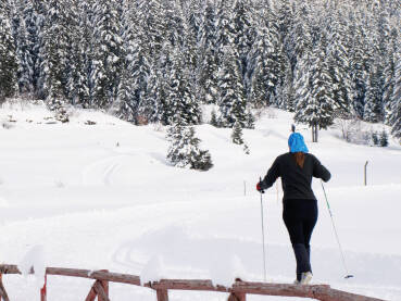 Nordijsko skijanje Langlauf staza na Igmanu