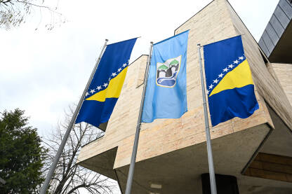 Zastava BiH i grada Sarajeva Zastava Bosne i Hercegovine i grada Sarajeva.