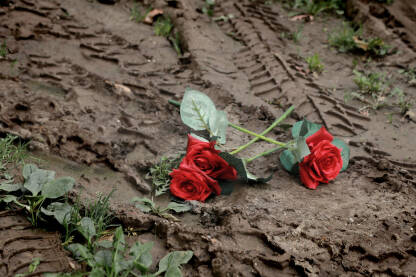 Ubistvo žene. Nasilje u porodici. Rodno zasnovano nasilje. 

Fotografija besplatna za ilustrovanje medijskih sadržaja o nasilju, svako drugo korištenje je zabranjeno.

Autorka: Svjetlana Panić