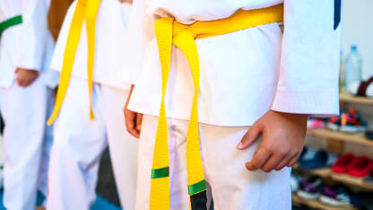Tae kwon do žuti pojasevi Tae kwon do pojasevi. Borilački sport. Trening mladih sportaša.