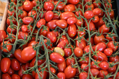 Paradajz na pijaci Paradajz na pijaci. Cherry paradajz. Svježa rajčica.