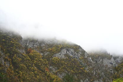 Šuma i priroda u jesen. Planinski obronci tokom kišnog jesenjeg dana.
