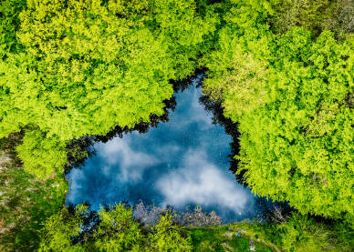 Jezero Malo prirodno jezero okruzeno zelenilom.