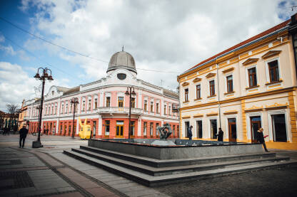 Gradska galerija Brčko Gradska galerija Brčko
Veselin Masleša