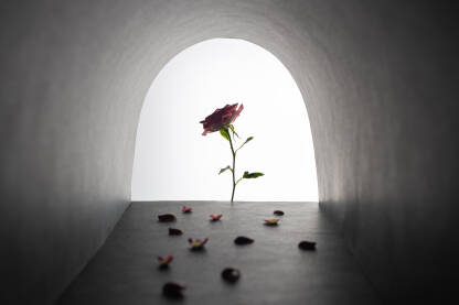 Pomaganje žrtvama nasilja da prekinu krug i napuste nasilnika. 

Fotografija besplatna za ilustrovanje medijskih sadržaja o nasilju, svako drugo korištenje je zabranjeno.

Autor: Amel Uzunović